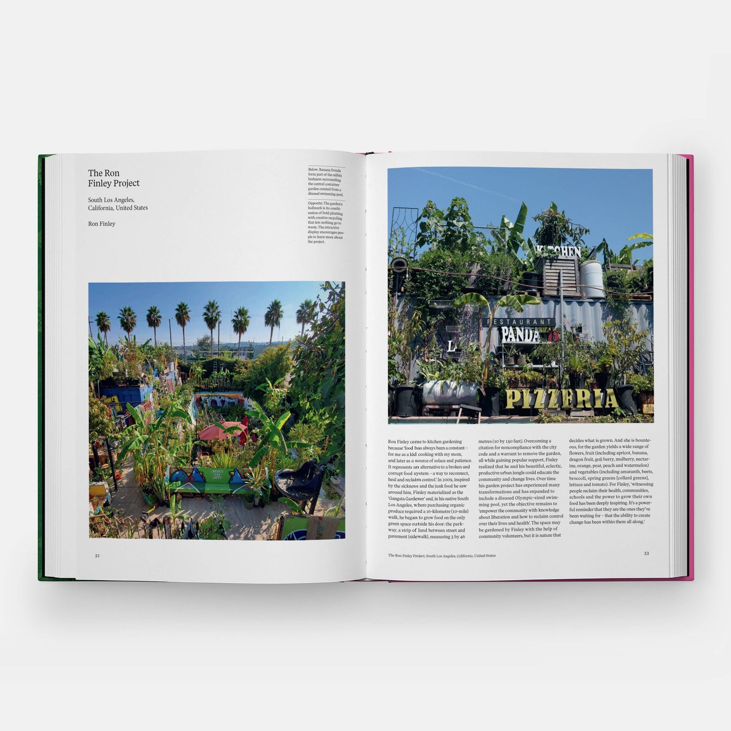 The Kitchen Garden | Toby Musgrave