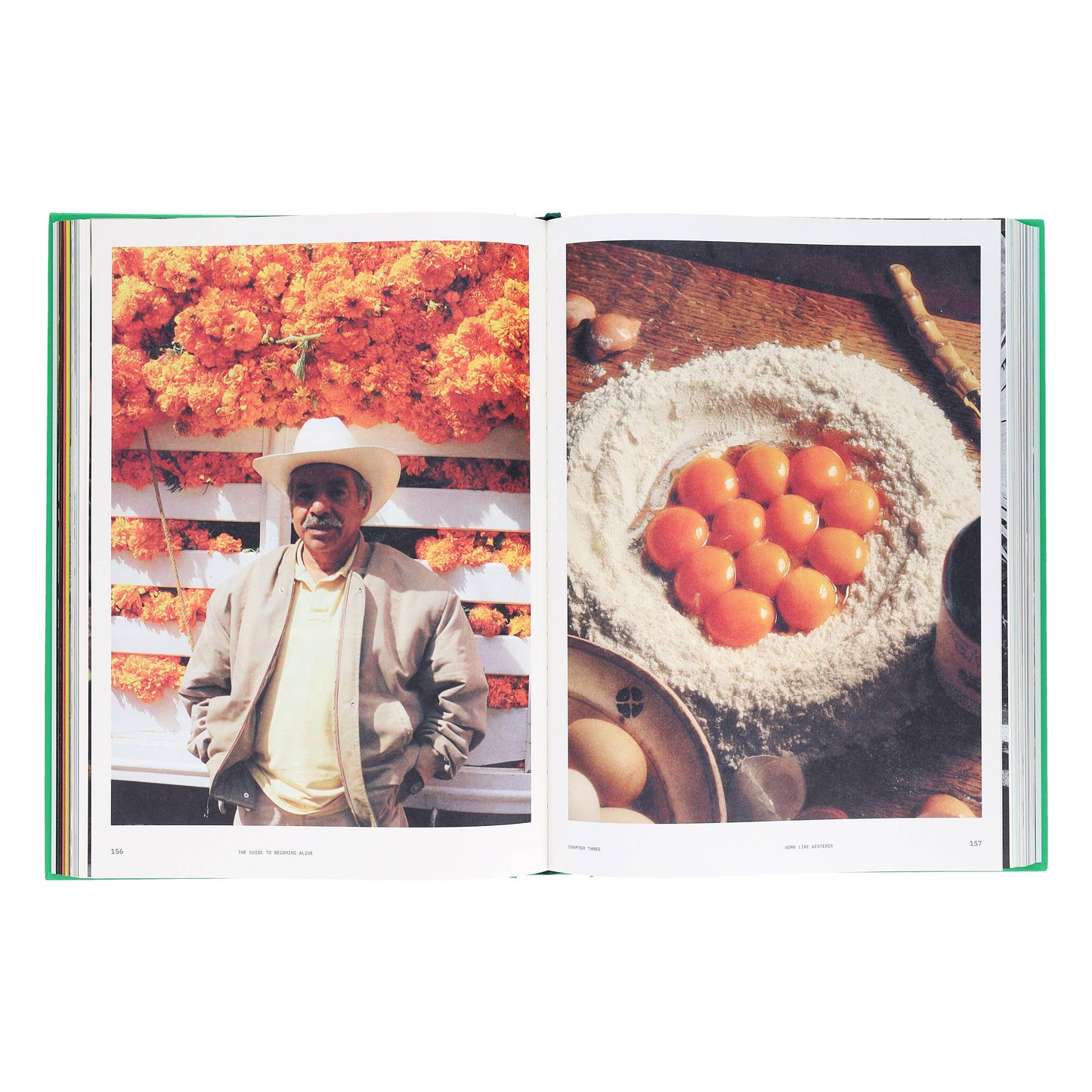 Flamingo Estate: The Guide to Becoming Alive