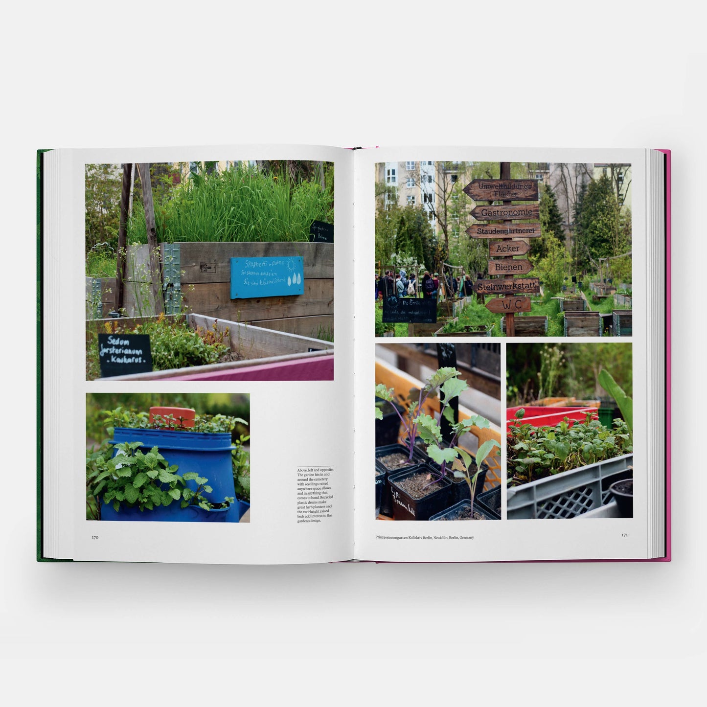 The Kitchen Garden | Toby Musgrave