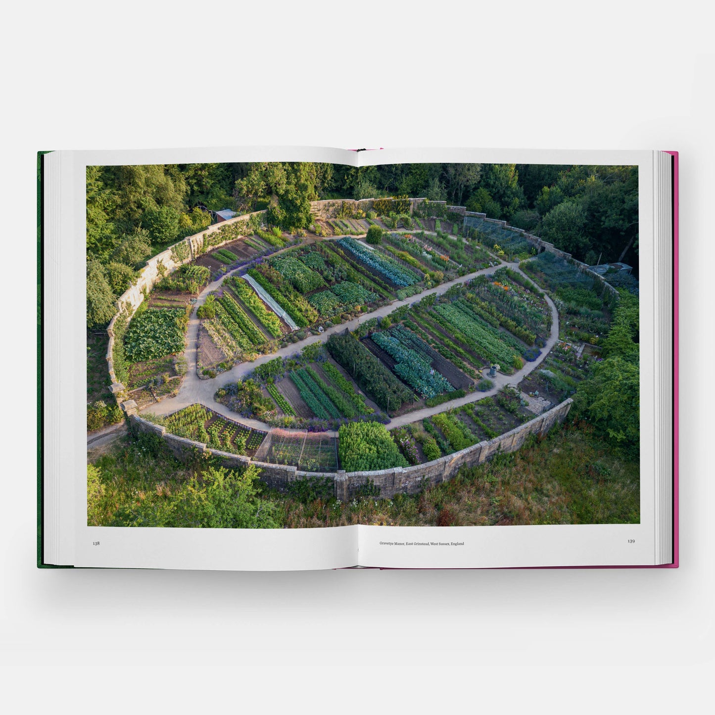 The Kitchen Garden | Toby Musgrave