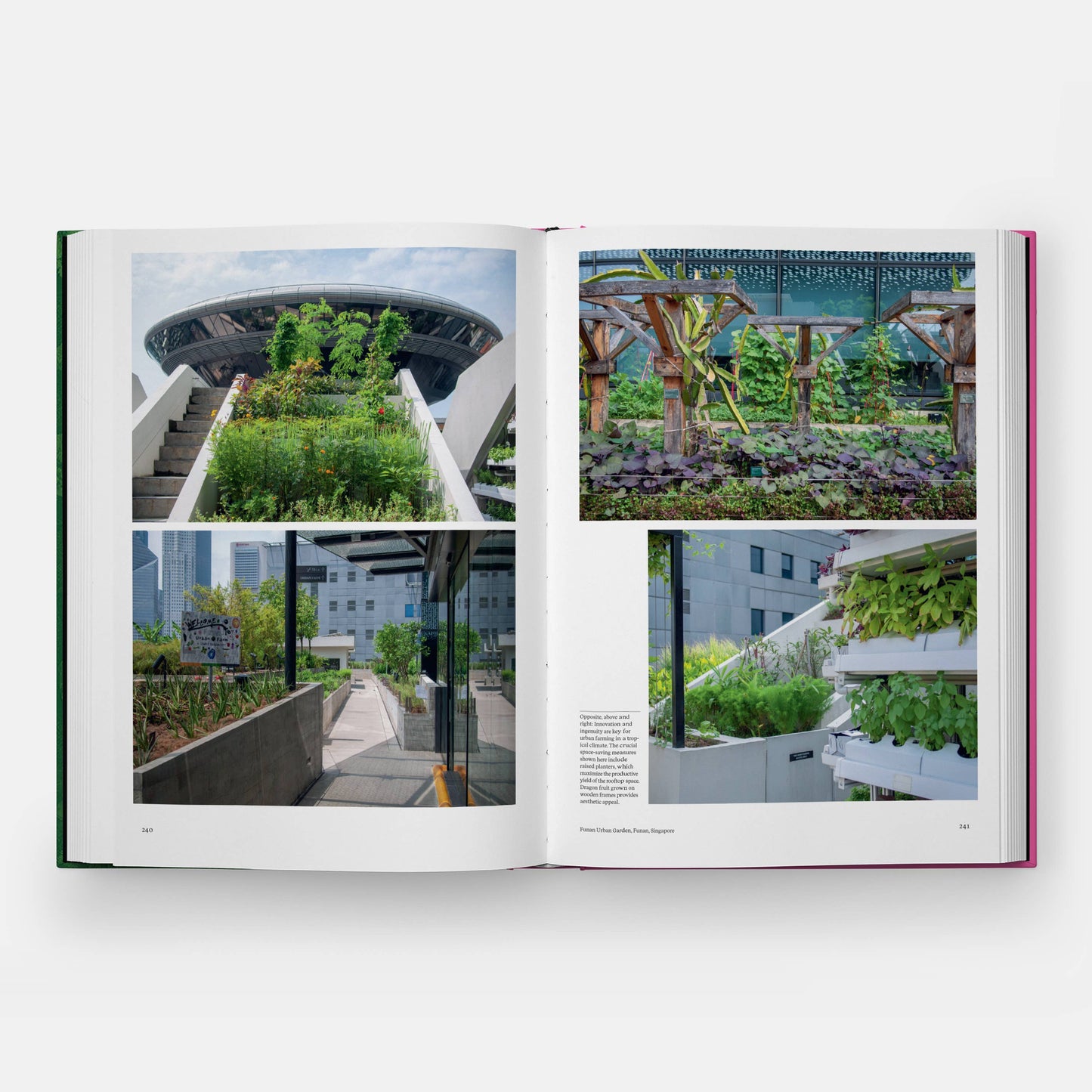 The Kitchen Garden | Toby Musgrave