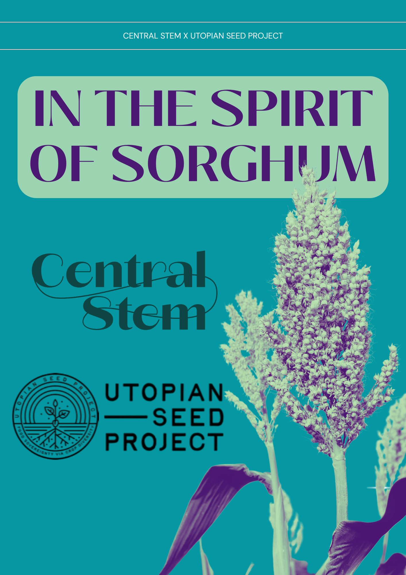 In the Spirit of Sorghum: A Seed to Supper Experience