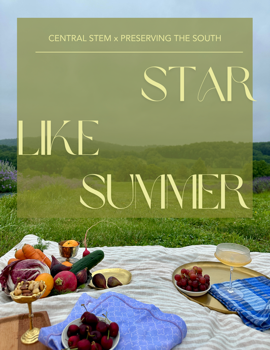 Starlike Summer: A Supper Beneath Borrowed Stars