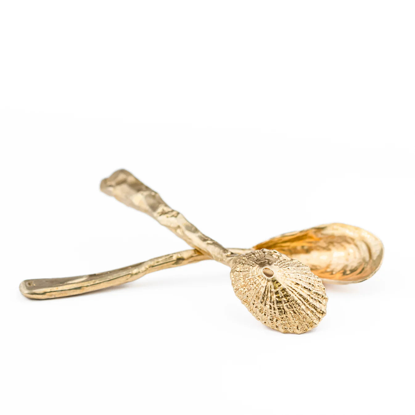 Shell Espresso Spoon Set