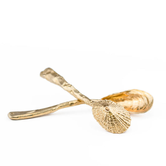 Shell Espresso Spoon Set