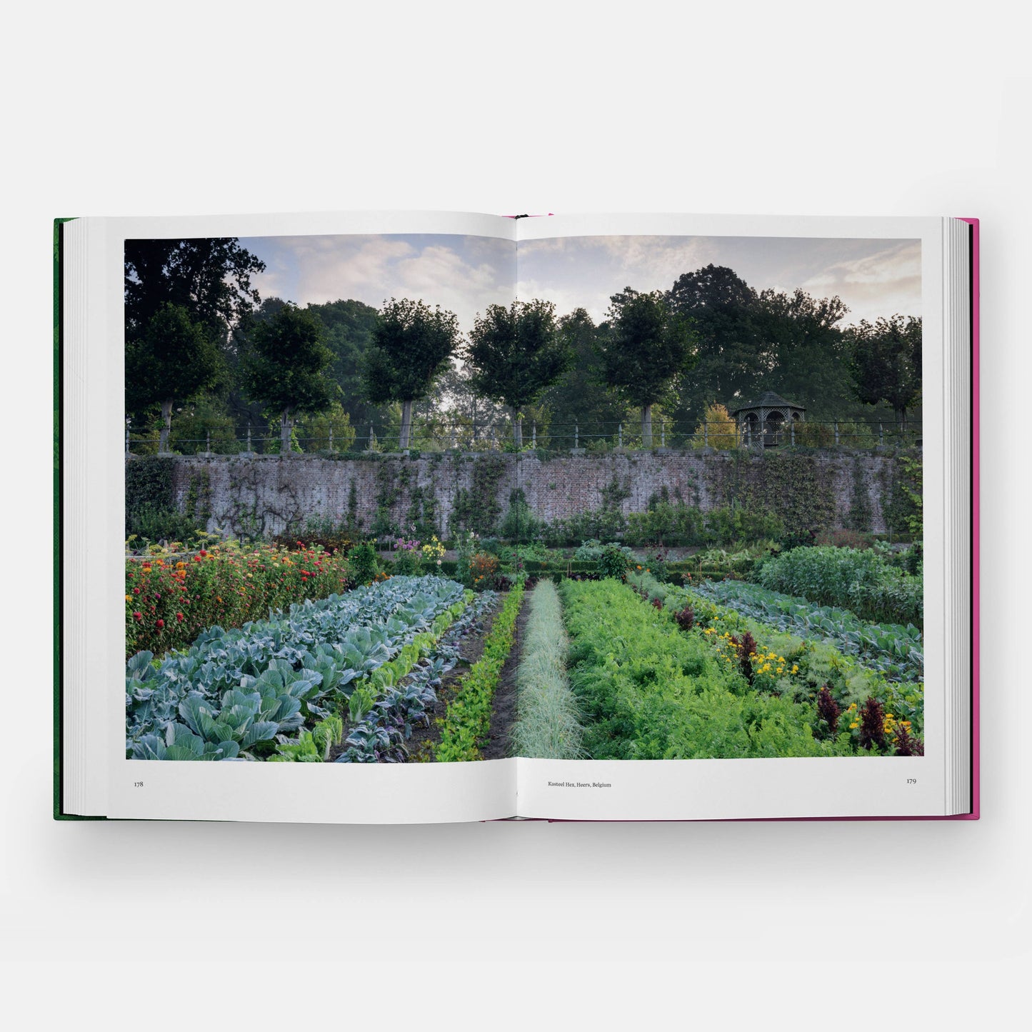 The Kitchen Garden | Toby Musgrave
