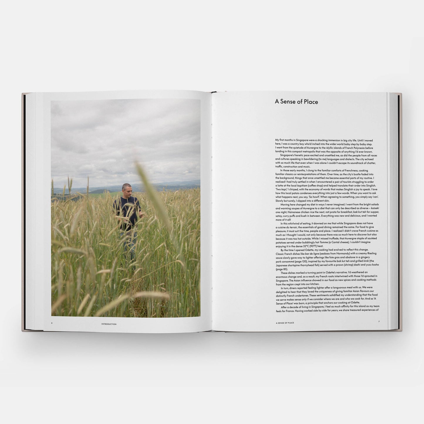 Odette: Terroir to Table, Heart to Plate [A Cookbook] | Julien Royer