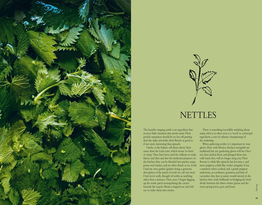 Wild Figs and Fennel