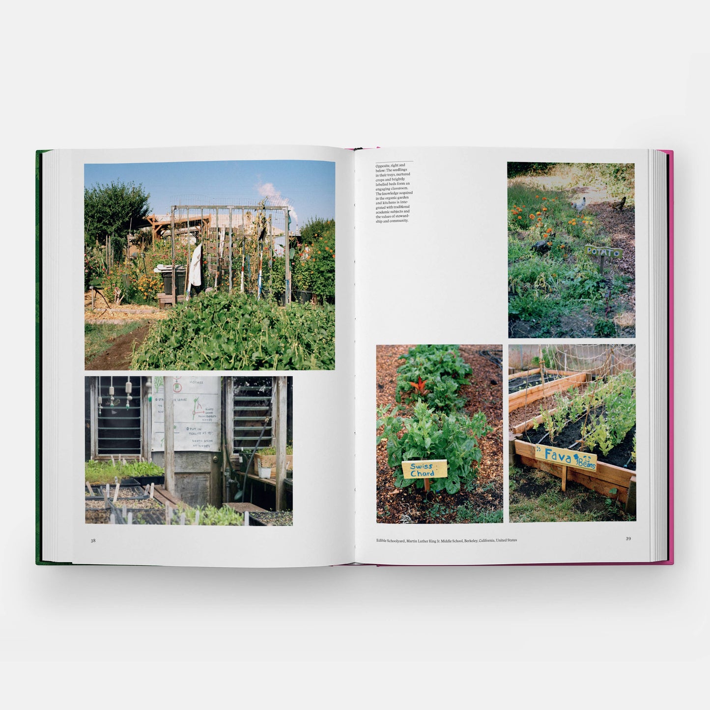 The Kitchen Garden | Toby Musgrave
