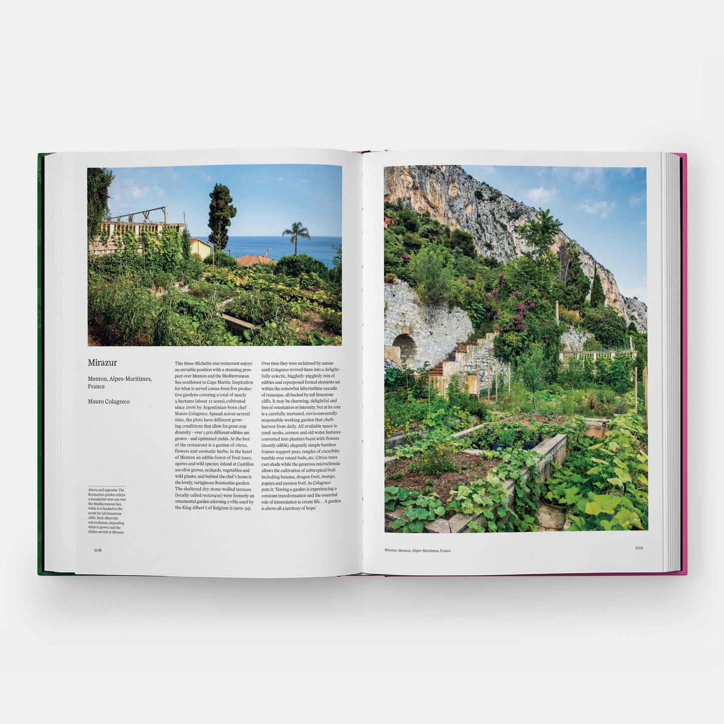 The Kitchen Garden | Toby Musgrave